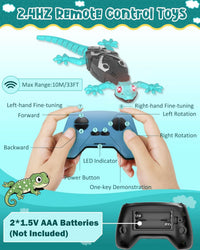 Gravity Gecko™ Wall Climbing Lizard