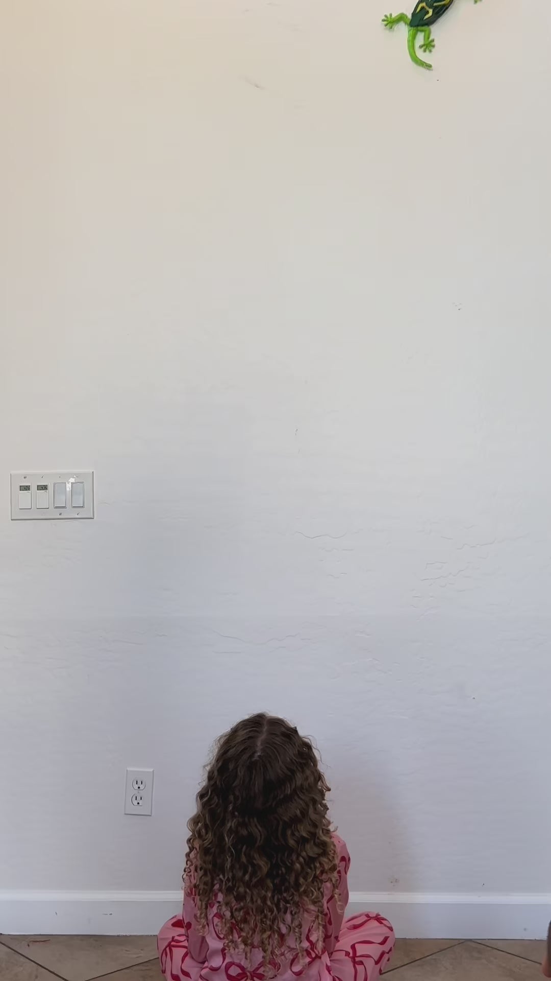 Gravity Gecko™ Wall Climbing Lizard video