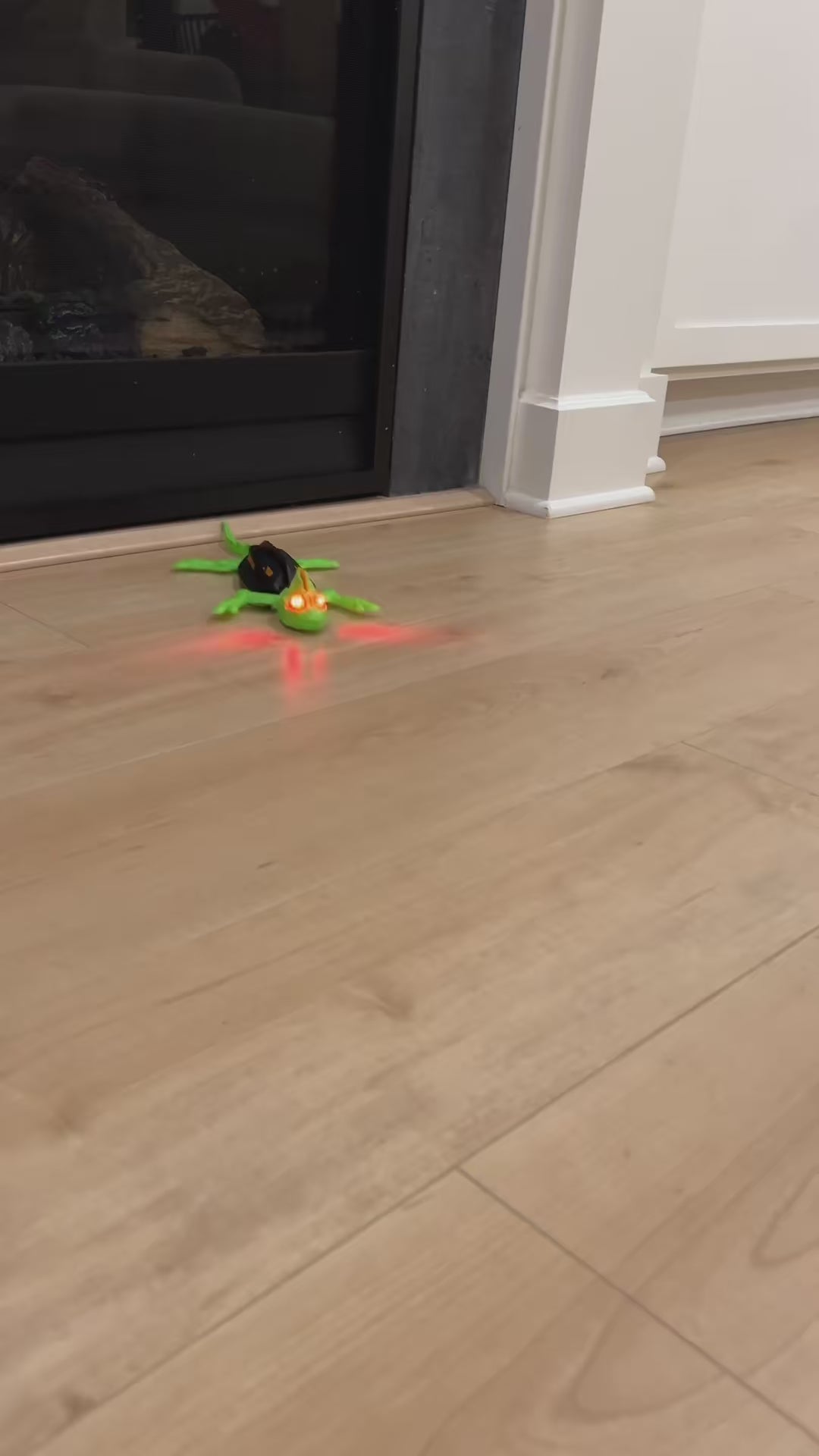 Gravity Gecko™ Wall Climbing Lizard video